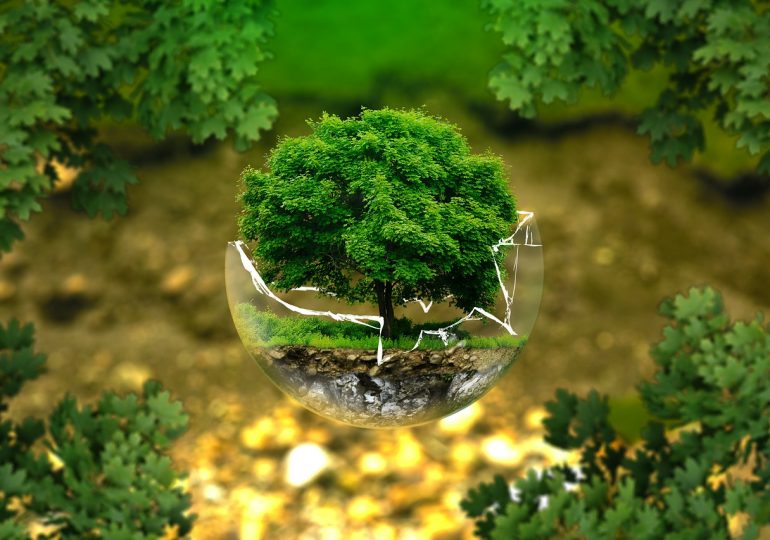 Экологические инвестиции: почему важно вкладывать в чистоту окружающей среды