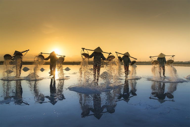 The economics of poor countries in Africa: an overview of the situation.