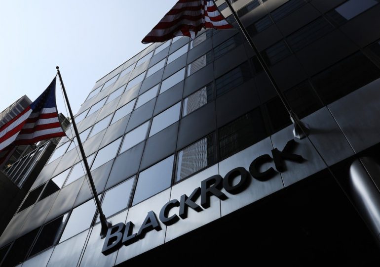 Инвестиционная корпорация BlackRock Inc предпочитает пережить кризис с наличными деньгами