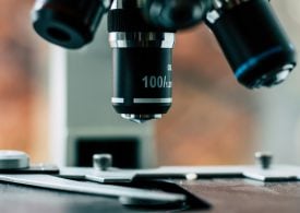 Биотехнологическая компания Veraxa Biotech разместит акции на бирже Nasdaq